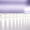 Светодиодная влагозащищенная лента Maytoni Technical 14,4W/m 120LED/m 2835SMD холодный белый 5M 10119