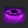 Светодиодная влагозащищенная лента Apeyron 12W/m 60LED/m 5050SMD разноцветная 15M 10-51 Светодиодная влагозащищенная лента Apeyron 12W/m 60LED/m 5050SMD разноцветная 15M 10-51