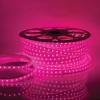 Светодиодная влагозащищенная лента Apeyron 10W/m 60LED/m 2835SMD разноцветная 50M 10-64 Светодиодная влагозащищенная лента Apeyron 10W/m 60LED/m 2835SMD разноцветная 50M 10-64