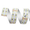 Светодиодная лента Apeyron 38W/m 240LED/m 2835SMD холодный белый 5M 00-305 Светодиодная лента Apeyron 38W/m 240LED/m 2835SMD холодный белый 5M 00-305