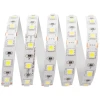 Светодиодная лента Apeyron 14,4W/m 60Led/m 5050SMD холодный белый 1M 227BL Светодиодная лента Apeyron 14,4W/m 60Led/m 5050SMD холодный белый 1M 227BL