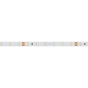 Светодиодная лента Arlight 4,8W/m 60LED/m 2835SMD теплый белый 5M 034445