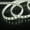 Светодиодная влагозащищенная лента Elektrostandard 8W/m 60LED/m 2835SMD холодный белый 50M a053638 Светодиодная влагозащищенная лента Elektrostandard 8W/m 60LED/m 2835SMD холодный белый 50M a053638