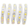 Светодиодная влагозащищенная лента Apeyron 14,4W/m 60Led/m 5050SMD холодный белый 5M 00-318 Светодиодная влагозащищенная лента Apeyron 14,4W/m 60Led/m 5050SMD холодный белый 5M 00-318