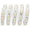 Светодиодная влагозащищенная лента Apeyron 14,4W/m 60Led/m 5050SMD холодный белый 1M 259BL Светодиодная влагозащищенная лента Apeyron 14,4W/m 60Led/m 5050SMD холодный белый 1M 259BL