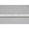 Светодиодная лента Arlight 14W/m 120LED/m 2216SMD теплый белый 5M 024432(2) Светодиодная лента Arlight 14W/m 120LED/m 2216SMD теплый белый 5M 024432(2)