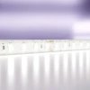 Светодиодная влагозащищенная лента Maytoni Technical 9,6W/m 120LED/m 2835SMD холодный белый 5M 10147