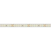 Светодиодная влагозащищенная лента Arlight 12W/m 160LED/m 2835SMD холодный белый 50M 024555(2)