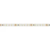 Светодиодная лента Arlight 9,6W/m 120LED/m 2835SMD холодный белый 5M 013747(2)