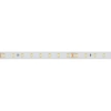 Светодиодная влагозащищенная лента Arlight 6W/m 80LED/m 2835SMD дневной белый 50M 024530(2)