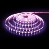 Светодиодная лента Elektrostandard 24W/m 60LED/m 5050SMD MIX RGB/теплый белый 5M a053701 Светодиодная лента Elektrostandard 24W/m 60LED/m 5050SMD MIX RGB/теплый белый 5M a053701