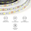 Светодиодная лента OGM 14,4W/m 60LED/m 5050SMD холодный белый 5M LSE-270 Светодиодная лента OGM 14,4W/m 60LED/m 5050SMD холодный белый 5M LSE-270