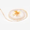Светодиодная лента Apeyron 5,4W/m 120LED/m теплый белый 5M R00-378 Светодиодная лента Apeyron 5,4W/m 120LED/m теплый белый 5M R00-378