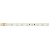 Светодиодная лента Arlight 14,4W/m 60LED/m 5060SMD холодный/теплый белый 5M RT-B60-10mm 24V White-MIX 025213(1)