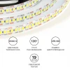 Светодиодная лента OGM 19,2W/m 240LED/m 2835SMD холодный белый 5M LSE-267