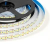 Светодиодная лента OGM 19,2W/m 240LED/m 2835SMD холодный белый 5M LSE-267