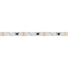 Светодиодная лента Arlight 12W/m 60LED/m 5060SMD разноцветный 5М SPI-B60-10mm 12V 039179 Светодиодная лента Arlight 12W/m 60LED/m 5060SMD разноцветный 5М SPI-B60-10mm 12V 039179