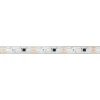 Светодиодная лента Arlight 12W/m 60LED/m 5060SMD разноцветный 5М SPI-PFS-B60-12mm 12V 039177