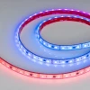 Светодиодная лента герметичная Arlight 14W/m 60LED/m 5060SMD разноцветный 5М DMX-PS-B60-12mm 12V 039605 Светодиодная лента герметичная Arlight 14W/m 60LED/m 5060SMD разноцветный 5М DMX-PS-B60-12mm 12V 039605