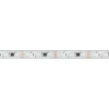 Светодиодная лента Arlight 12W/m 60LED/m 5060SMD разноцветный 5М SPI-PS-B60-12mm 12V 039599 Светодиодная лента Arlight 12W/m 60LED/m 5060SMD разноцветный 5М SPI-PS-B60-12mm 12V 039599