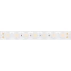Светодиодная лента герметичная Arlight 21W/m 42LED/m 2835SMD теплый белый 5М FLT-PS-A42-23mm 24V 040918 Светодиодная лента герметичная Arlight 21W/m 42LED/m 2835SMD теплый белый 5М FLT-PS-A42-23mm 24V 040918
