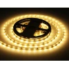 Светодиодная лента Ambrella Light 6W/m 60LED/m 2835SMD теплый белый 5M GS3001 Светодиодная лента Ambrella Light 6W/m 60LED/m 2835SMD теплый белый 5M GS3001