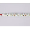 Светодиодная лента Ambrella Light 24W/m 240LED/m 2835SMD дневной белый 5M GS3702