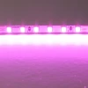 Светодиодная лента Lightstar 12W/m 120LED/m розовый 5M 420512 Светодиодная лента Lightstar 12W/m 120LED/m розовый 5M 420512