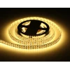 Светодиодная лента Ambrella Light 19,2W/m 240LED/m 2835SMD теплый белый 5M GS1601