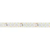 Светодиодная лента Arlight 19,2W/m 60Led/m 2835SMD теплый белый 5M RZ-A160-15mm 24V Warm2700 048010 Светодиодная лента Arlight 19,2W/m 60Led/m 2835SMD теплый белый 5M RZ-A160-15mm 24V Warm2700 048010