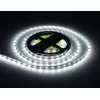 Светодиодная лента Ambrella Light 4,8W/m 60LED/m 2835SMD холодный белый 5M GS1003