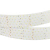 Светодиодная лента Arlight 6W/m 350Led/m 2835SMD дневной белый 2,5M RT-A350-58mm 24V Day5000 CRI98 025162(2) Светодиодная лента Arlight 6W/m 350Led/m 2835SMD дневной белый 2,5M RT-A350-58mm 24V Day5000 CRI98 025162(2)