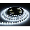 Светодиодная лента Ambrella Light 14W/m 60LED/m 5050SMD теплый - холодный белый 5M GS4101 Светодиодная лента Ambrella Light 14W/m 60LED/m 5050SMD теплый - холодный белый 5M GS4101