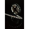 Светодиодная лента SWG 14,4W/m  60Led/m 5050SMD холодный белый 5M SWG560-12-14.4-UW-М 009263