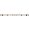 Светодиодная влагозащищенная лента Maytoni 4,8W/m 60LED/m 2835SMD теплый белый 5M 201013