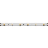 Светодиодная лента Maytoni 4,8W/m 60LED/m 2835SMD теплый белый 50M 201015