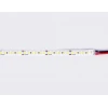 Светодиодная лента Ambrella light ILLUMINATION GS1313 Светодиодная лента Ambrella light ILLUMINATION GS1313