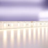 Светодиодная влагозащищенная лента Maytoni Technical 14,4W/m 120LED/m 2835SMD теплый белый 5M 10151 Светодиодная влагозащищенная лента Maytoni Technical 14,4W/m 120LED/m 2835SMD теплый белый 5M 10151