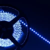 Светодиодная лента Arlight 9,6W/m 120LED/m 3528SMD синий 5M 015660(1) Светодиодная лента Arlight 9,6W/m 120LED/m 3528SMD синий 5M 015660(1)