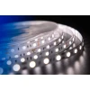 Светодиодная влагозащищенная лента DesignLed 14,4W/m 60LED/m 5050SMD нейтральный белый 5M 000517 Светодиодная влагозащищенная лента DesignLed 14,4W/m 60LED/m 5050SMD нейтральный белый 5M 000517