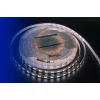 Светодиодная влагозащищенная лента DesignLed 26,8W/m 120LED/m 5730SMD теплый/холодный белый 5M 001823 Светодиодная влагозащищенная лента DesignLed 26,8W/m 120LED/m 5730SMD теплый/холодный белый 5M 001823