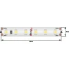 Светодиодная влагозащищенная лента DesignLed 9,6W/m 120LED/m 3528SMD нейтральный белый 5M 002766 Светодиодная влагозащищенная лента DesignLed 9,6W/m 120LED/m 3528SMD нейтральный белый 5M 002766