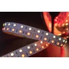 Светодиодная лента SWG 28,8W/m 120LED/m 5050SMD RGB/ теплый белый 5M 901044 Светодиодная лента SWG 28,8W/m 120LED/m 5050SMD RGB/ теплый белый 5M 901044