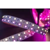 Светодиодная лента SWG 28,8W/m 120LED/m 5050SMD RGB/ теплый белый 5M 901044 Светодиодная лента SWG 28,8W/m 120LED/m 5050SMD RGB/ теплый белый 5M 901044