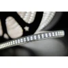 Светодиодная влагозащищенная лента SWG 20W/m 240LED/m 3014SMD холодный белый 50M 001756