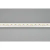 Светодиодная влагозащищенная лента Arlight 16,8W/m 120LED/m 2835SMD холодный белый 5M 029391(2)