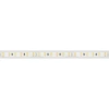 Светодиодная влагозащищенная лента Arlight 16,8W/m 120LED/m 2835SMD холодный белый 5M 029391(2)