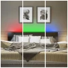 Светодиодная лента Apeyron 15W/m 60LED/m 5050SMD разноцветная/холодный белый 5M 00-336 Светодиодная лента Apeyron 15W/m 60LED/m 5050SMD разноцветная/холодный белый 5M 00-336