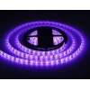 Светодиодная влагозащищенная лента Ambrella Light 14,4W/m 60LED/m 5050SMD RGB 5M GS2502 Светодиодная влагозащищенная лента Ambrella Light 14,4W/m 60LED/m 5050SMD RGB 5M GS2502