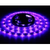 Светодиодная лента Ambrella Light 7,2W/m 30LED/m 5050SMD RGB 5M GS4301 Светодиодная лента Ambrella Light 7,2W/m 30LED/m 5050SMD RGB 5M GS4301
